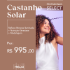 Castanho Solar [Select]